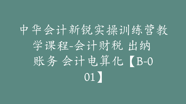 中华会计新锐实操训练营教学课程-会计财税 出纳 账务 会计电算化【B-001】