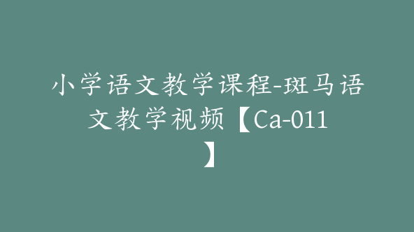 小学语文教学课程-斑马语文教学视频【Ca-011】